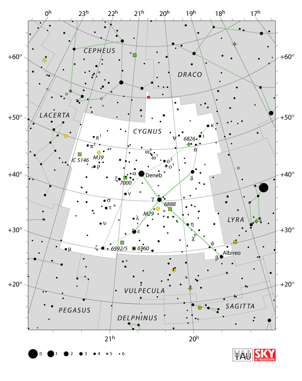 Cygnus constellation