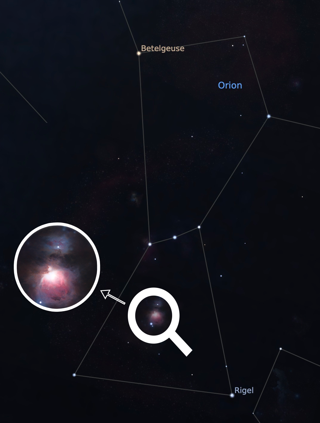 The Orion Constellation and the Orion Nebula